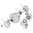 Differential Assembly